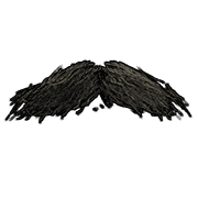 Movember-усы