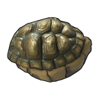 Tortoise Rock